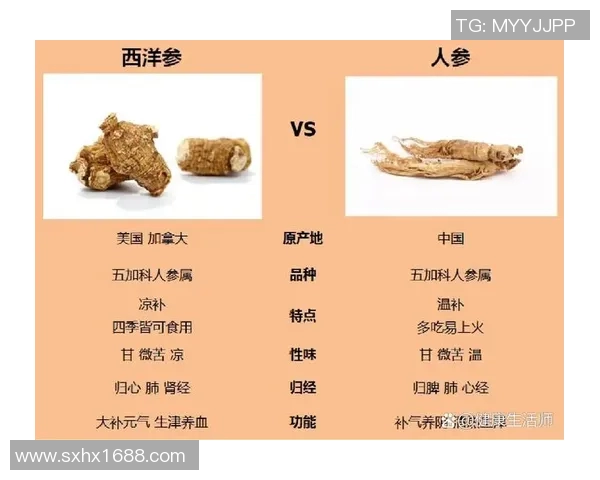 太阳神与安阳人参的较量：自然力量与神秘药材的巅峰对决
